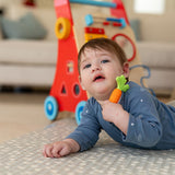 Carrot Silicone Teether 3m+